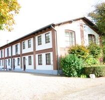 Wer hat Lust auf Natur Entspannung? Wunderschöne EG- Wohnung in Satrup - Mittelangeln