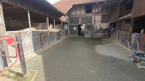 Foto - 