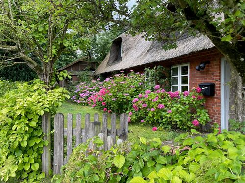 Foto - 9 Zimmer Zweifamilienhaus zum Kaufen in Scheggerott