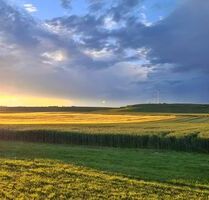 Naturliebhaber aufgepasst! 2,5 Zimmer-Wohnung im EG mit Terrasse & traumhaften Blick - Selzen