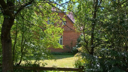 Foto - 8 Zimmer Bauernhaus, Landhaus in Bad Bevensen