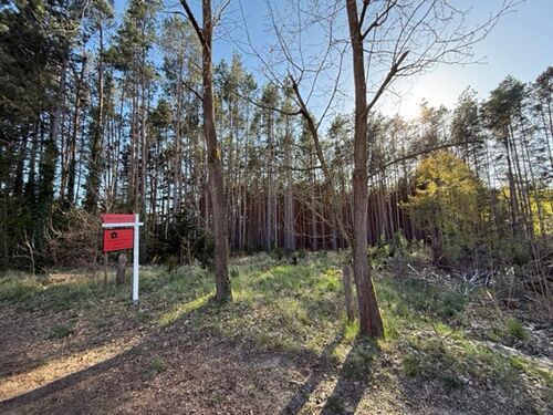 Foto - PROVISIONSFREI! Ruhig gelegenes Baugrundstück am Waldrand – fußläufig zum Bahnhofnahe Wolziger