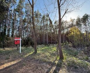 PROVISIONSFREI! Ruhig gelegenes Baugrundstück am Waldrand – fußläufig zum Bahnhofnahe Wolziger - Kummersdorf