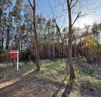 PROVISIONSFREI! Ruhig gelegenes Baugrundstück am Waldrand – fußläufig zum Bahnhofnahe Wolziger - Kummersdorf