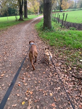 WhatsApp Image 2025-08-31 at 13.51.22 - 