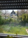 Blick aus dem Fenster - 