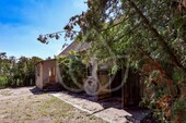 Altbestand - 