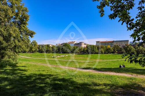 Görlitzer Park - 1 Zimmer Büro zur Miete in Berlin Kreuzberg