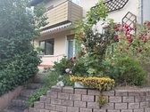 IMG_5447 - 