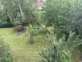 IMG_5465 - 