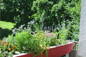 DSC_6615 - 