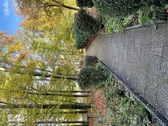 IMG_1479 - 