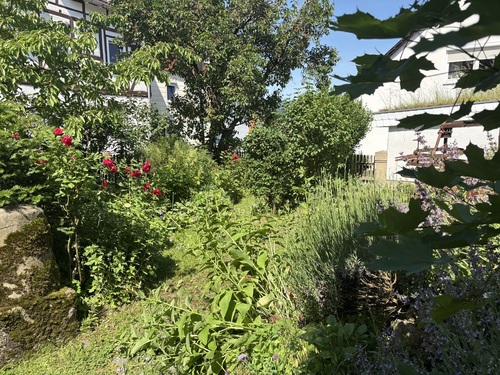 IMG_5277 - Zweifamilienhaus mit 300,00 m&sup2; in Kassel zum Kaufen