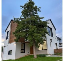 Top-Renditeobjekt: 5 Wohneinheiten im historischen Schulhaus mit großem Entwicklungspotenzial - Althornbach