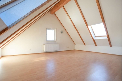 Studio DG - 