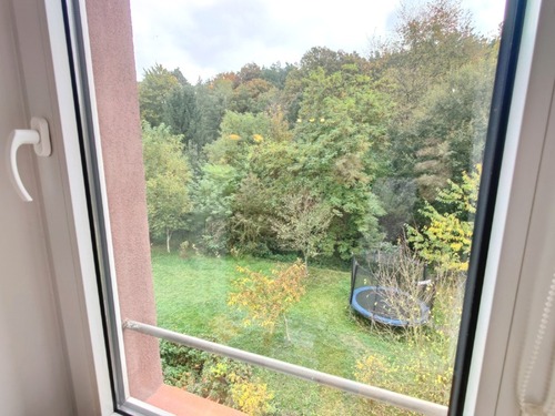 Blick aus Whg. 3 ins Grüne - 