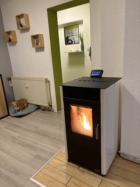 Kamin Wohnzimmer EG - 