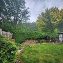 Gartenbereich - 