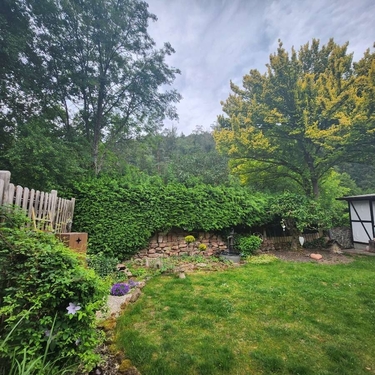 Gartenbereich - 