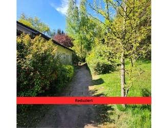 Geräumige Parterre-Eigentumswohnung mit eigenem Grundstück und Stellplätzen in ruhiger Ortsrandlage - Kaiserslautern