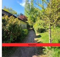 Geräumige Parterre-Eigentumswohnung mit eigenem Grundstück und Stellplätzen in ruhiger Ortsrandlage - Kaiserslautern