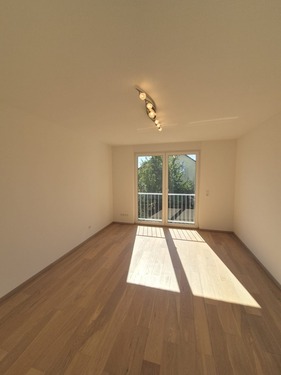 Zimmer EG - 