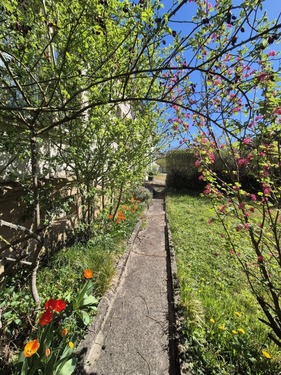 Gartenbereich - 