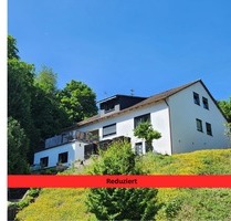 Design & Rendite: Modernes Wohnen mit Einliegerwohnung für Anleger und Privatpersonen - Sulzbachtal