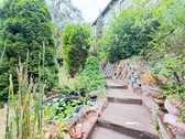 Gartenaufgang - Zweifamilienhaus mit 140,00 m&sup2; in Waldfischbach-Burgalben zum Kaufen