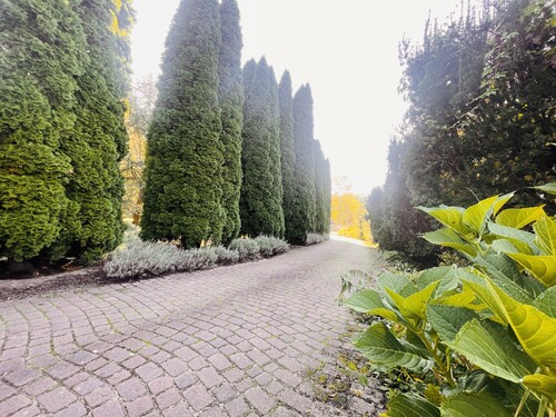 Zugang zum GST - gepfasterter Weg - 