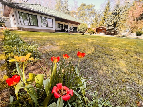 Blick in Richtung Bungalow - 