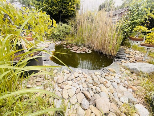 Blick in Richtung - Teich - 