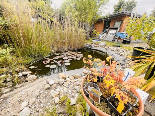 Grundstück - Teich - 