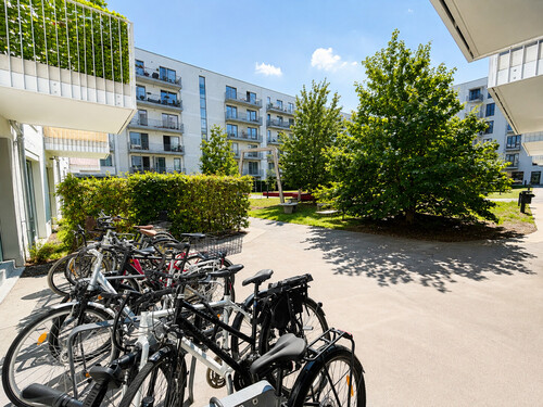 Gartenbereich - 
