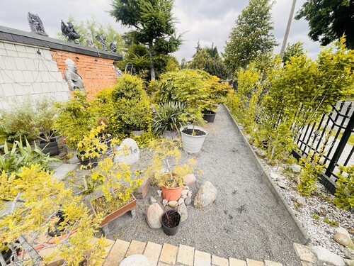 Blick in Richtung - Außenfläche - Gartenbereich - 