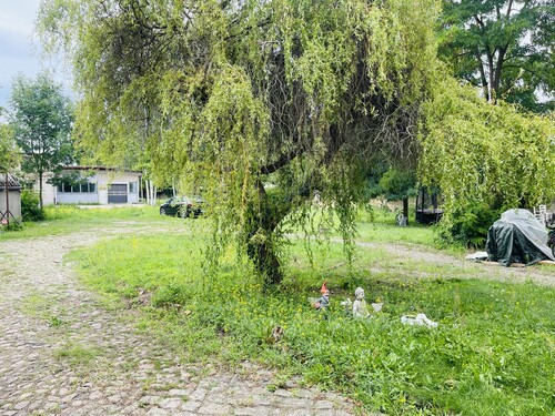 Blick in Richtung Gartenbereich - 