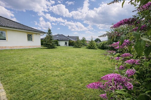 Gartenbereich (Frontanseite) - 