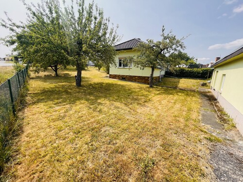 pflegeleichter Gartenbereich - 