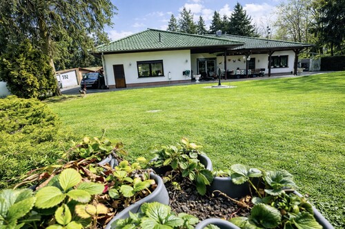 Rückseite vom Bungalow - 