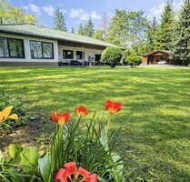 Alleinlage - Bungalow auf ein – 2.161 m² GST - in Tantow (Brandenburg) - Nähe zu Prenzlau & Polen! - Tantow / Schönfeld