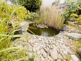 Blick in Richtung - Teich - 