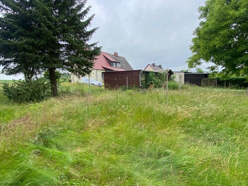 Gartenbereich - 