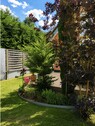 Blick in Richtung Garten - 