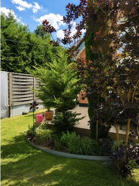Blick in Richtung Garten - 