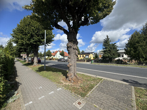 Foto - Grundstück in Trebbin zum Kaufen