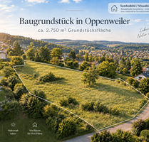 Großzügiges Grundstück mit ca. 2.750 m² in Oppenweiler – davon ca. 1.500 m² Bauland