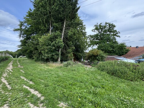 Privatweg - 