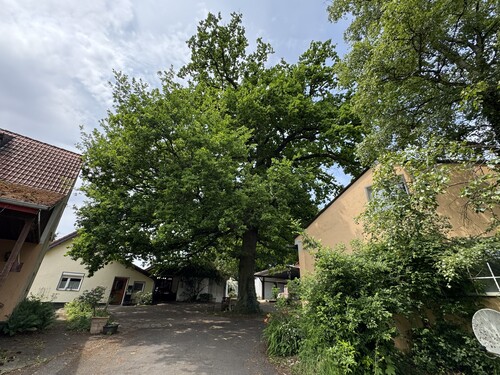 Zentrum des Guts - 