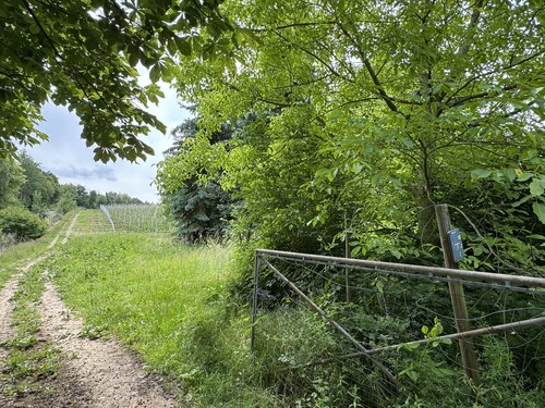 Grundstücksweg - 7 Zimmer Resthof in Remagen