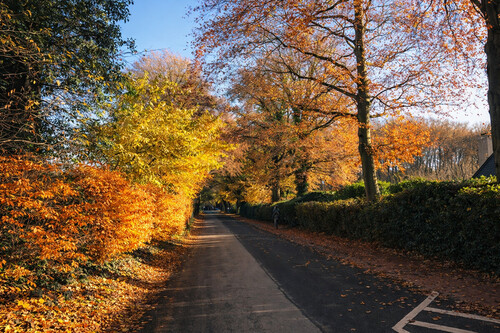 Foto - Grundstück in Münster / Ost